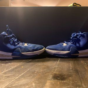 Giannis zoom freak 1 blue nike shoes used